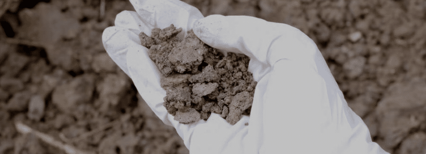 professional inspecting contaminated soil