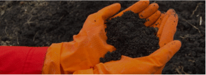 professional inspecting contaminated soil