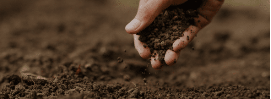 soil remediation and testing