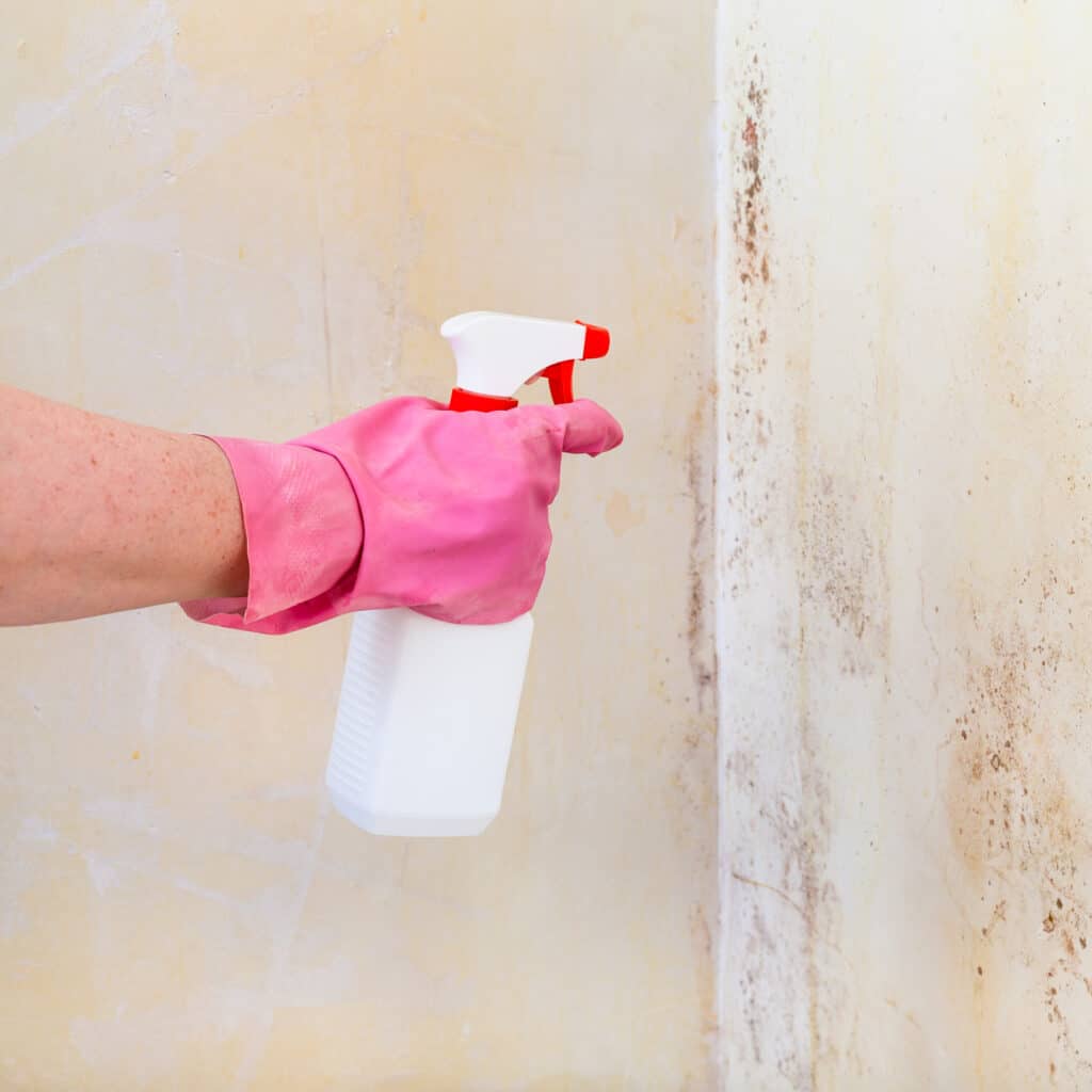removing-of-mold-from-wall-with-liquid-spray