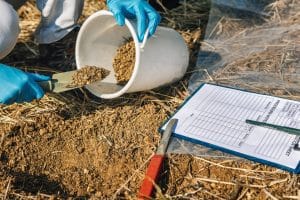 soil-testing-agronomy-inspector-taking-soil